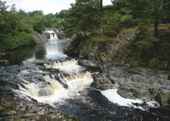 Low Force